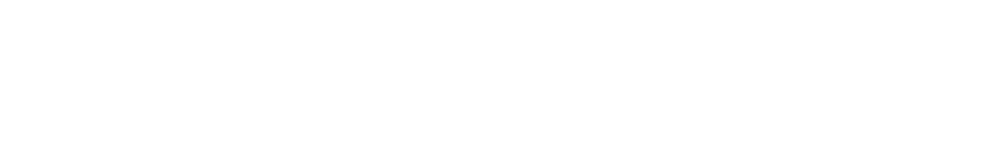 Белый логотип без слогана